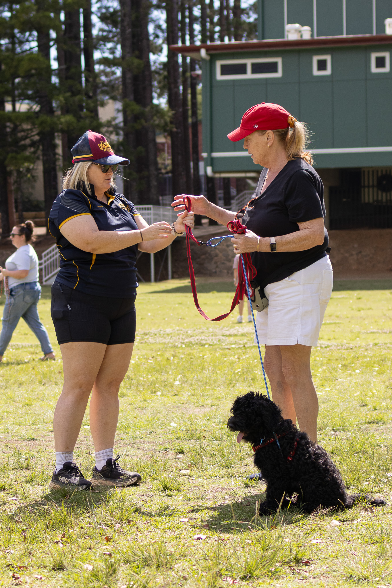 Alyssa helping a client and their dog during a Padfoot group class