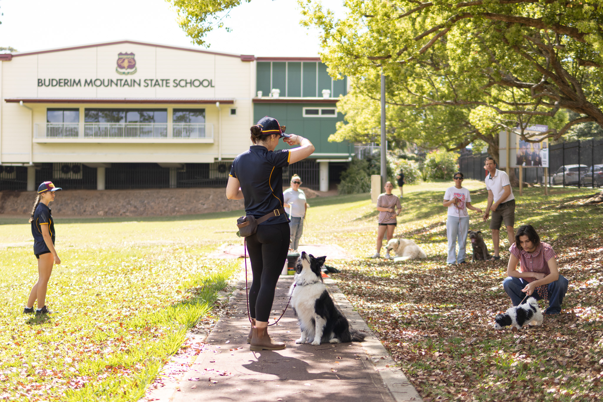 Hannah demonstrating attention training with a dog during a Padfoot group class